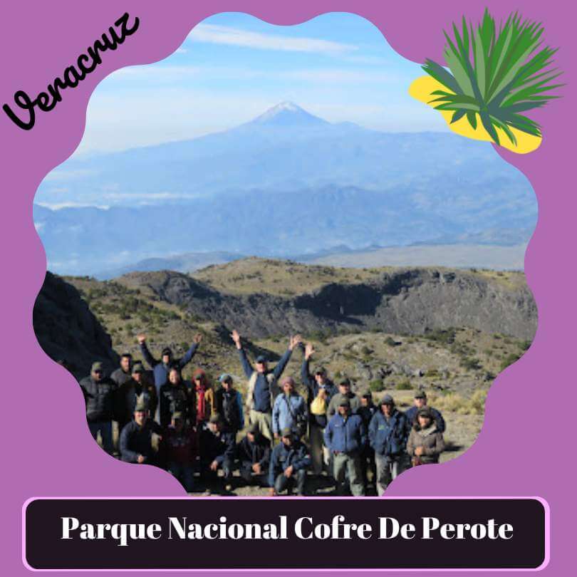 Parque Nacional Cofre de Perote