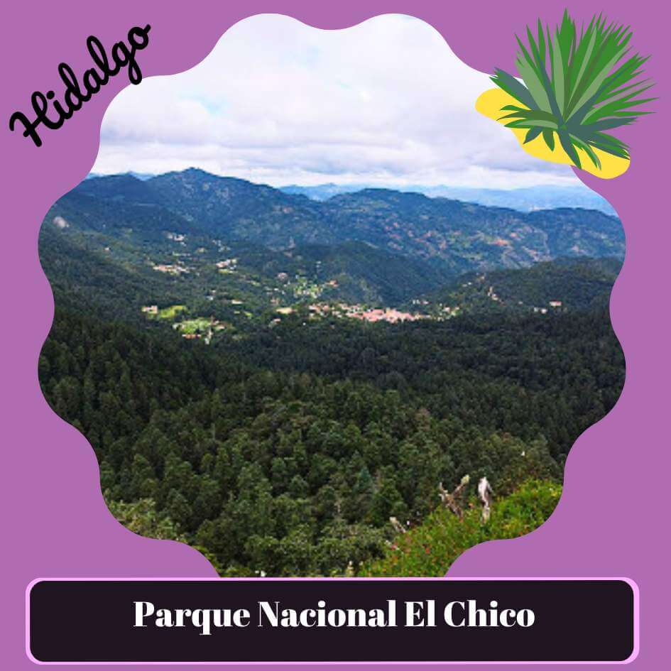Parque Nacional El Chico