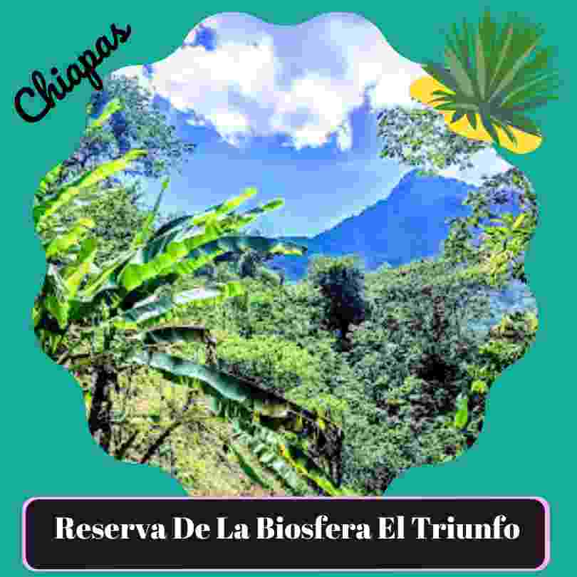 Reserva de la Biosfera El Triunfo (Parque Natural)