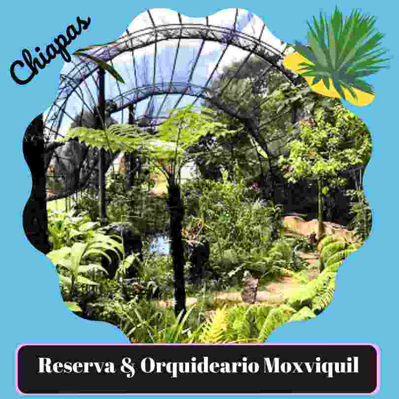 reserva ecologica y orquideario moxviquil