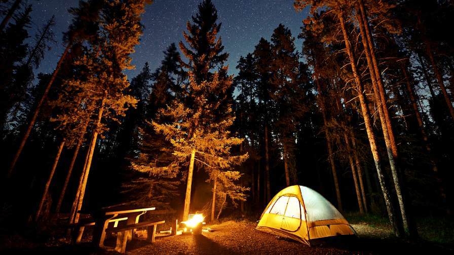 acampar en el bosque