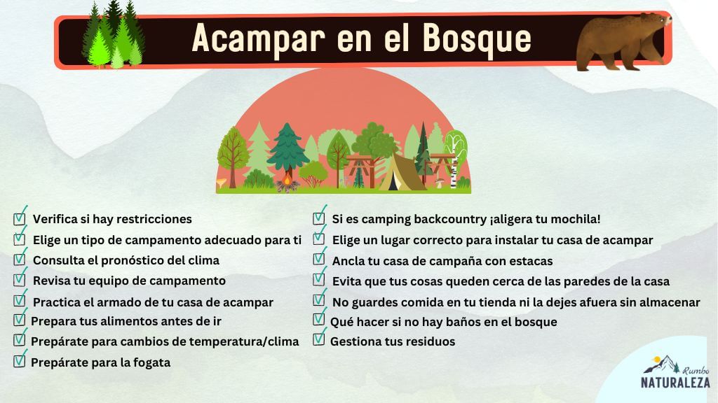checklist para acampar en el bosque