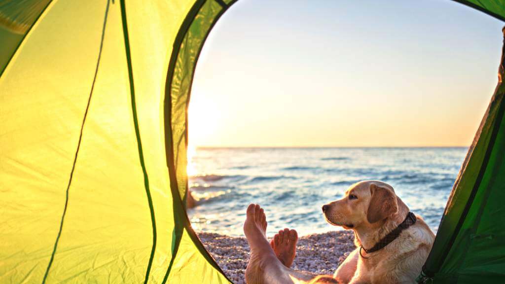 Acampar En La Playa: 20 Tips Prácticos & Infalibles